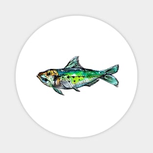 Green Sardine Watercolor Magnet